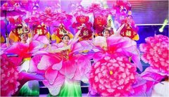 《百花齊放》 广州舞蹈表演队  活动主持人  会议